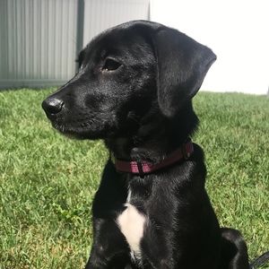 Meet your Posher, Debbie